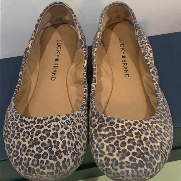 Leopard flats in a size 6 - Picture 2 of 4